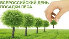 Бурятский ЦГМС - филиал ФГБУ &quot;Забайкальское УГМС&quot; принял участие в акции &quot;Всероссийский день посадки леса 2022&quot; 
