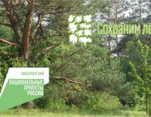 Всероссийская акция «Сохраним лес» в 2023 году