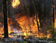 28 июня  высокая пожарная опасность (4 класс) наблюдается местами по центральным и северным районам. 29 июня в Северобайкальском районе.