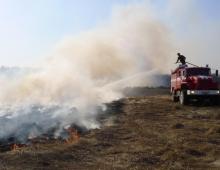 Большая часть лесных пожаров в России потушена
